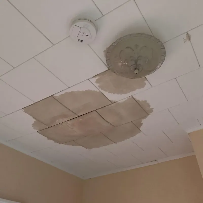 Ceiling Water Damage Repair in Montrose, MN