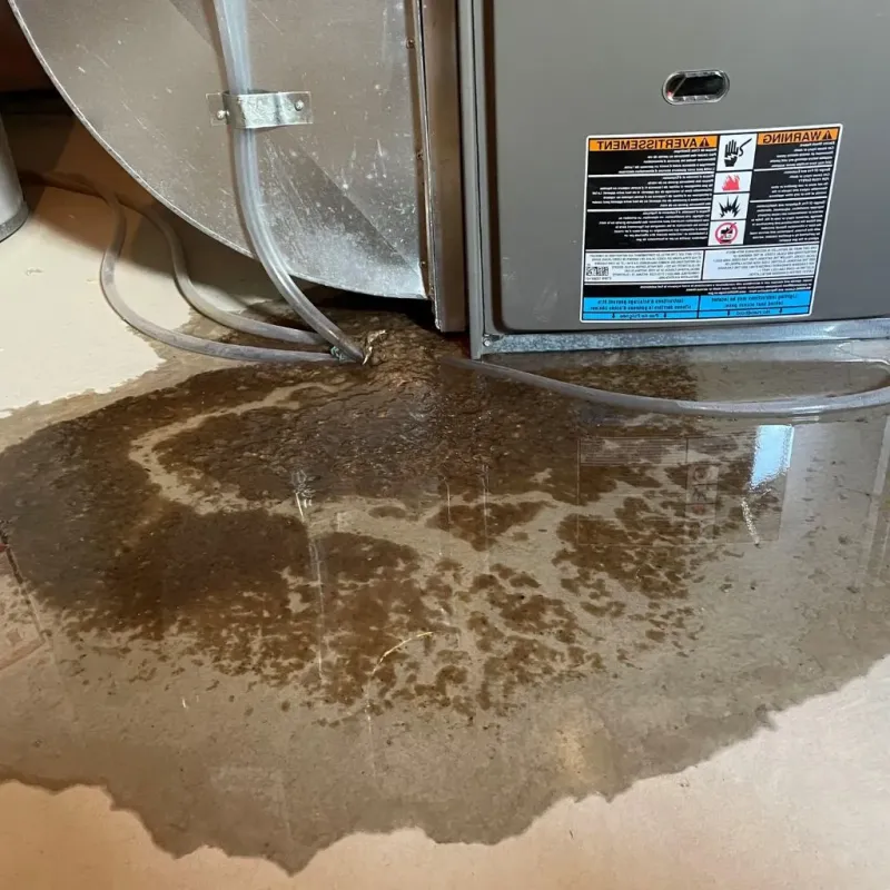 Pipe Burst and Leak Restoration in Montrose, MN