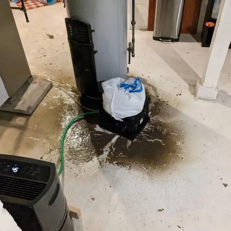 Sewage Backup Cleanup Service in Montrose, MN